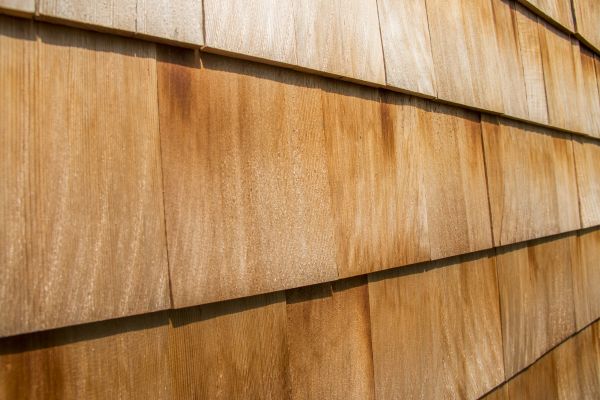 Cost of Cedar Siding Replacement in Springfield