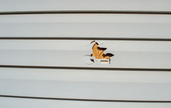 Cost of Siding Hole Patching in Springfield