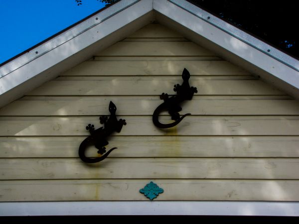 Cost of Shiplap Siding Installation in Springfield